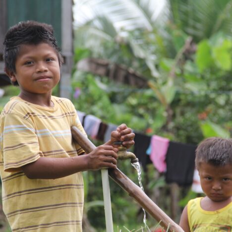 HYDROPONIC CROPS PROGRAM IN INDIGENOUS COMMUNITIES IN THE SIERRA NEVADAOF SANTA MARTA, IN COLOMBIA