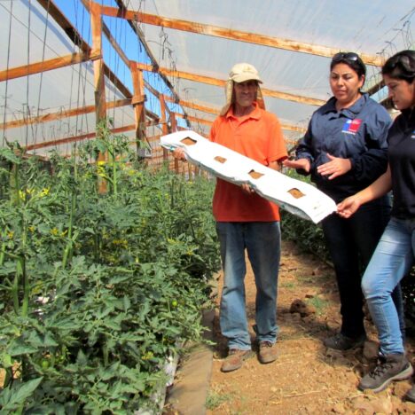 ETHNO-PROGRAMME CLIMATELY INTEGRATED WATER MANAGEMENT, IN THE COLOMBIAN AMAZON BASIN