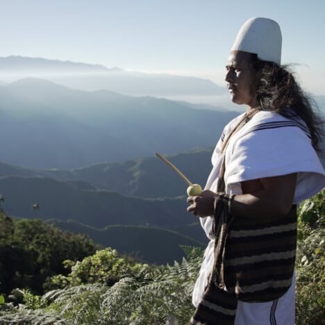 HYDROPONIC CROPS PROGRAM IN INDIGENOUS COMMUNITIES IN THE SIERRA NEVADAOF SANTA MARTA, IN COLOMBIA